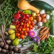 10 alkalmas - Kétheti zöldségkosár - Ópusztaszer