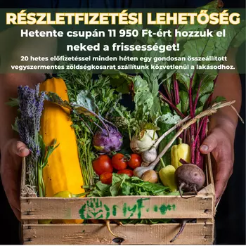 20 alkalmas - Heti zöldségkosár - Balatonberény