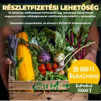 10 alkalmas - Kétheti zöldségkosár - Balatonberény