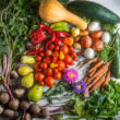 10 alkalmas - Kétheti zöldségkosár - Szentmártonkáta