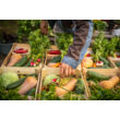 10 alkalmas - Kétheti zöldségkosár - Szentmártonkáta
