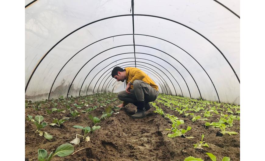 Így telt az újabb szezonra való felkészülés a MyFarm kertekben