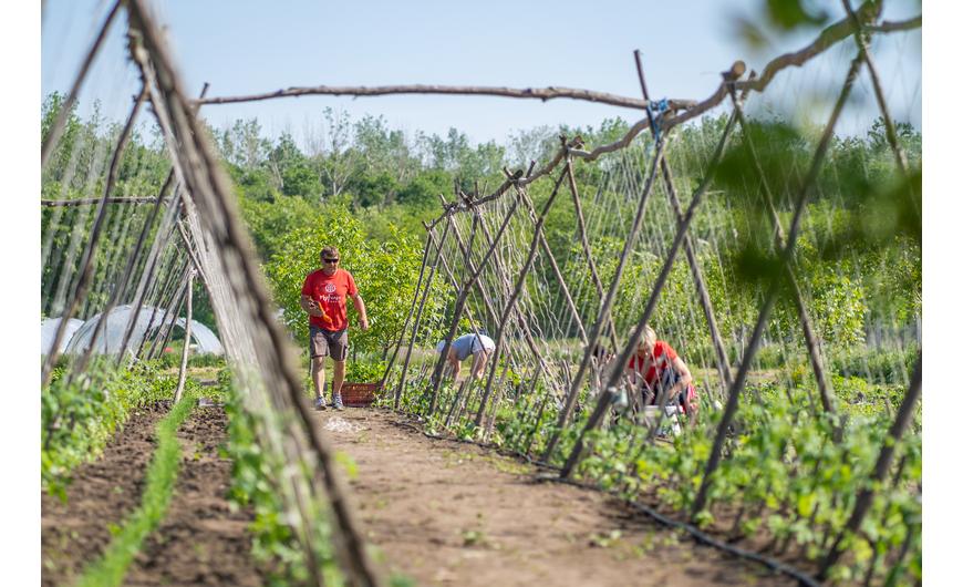 Így telt a június a MyFarm kertekben