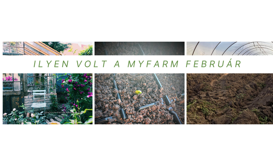 Így telt a február a MyFarm kertek táján