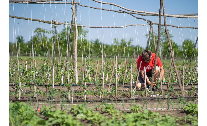 Így telt a 2022-es szezon a MyFarm közösségi kerteknél