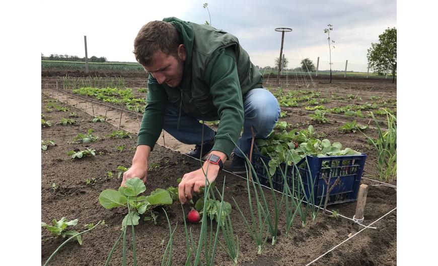 MyFarm Harta - Mi történt velünk 2019-ben?