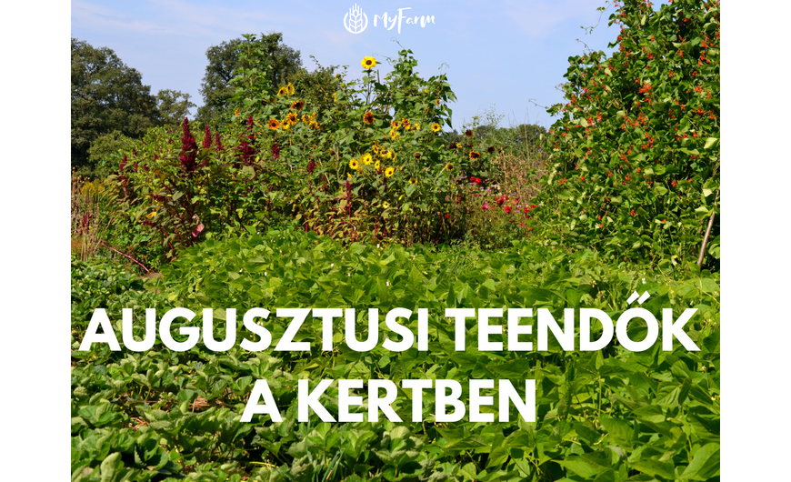 Augusztusi teendők a kertben